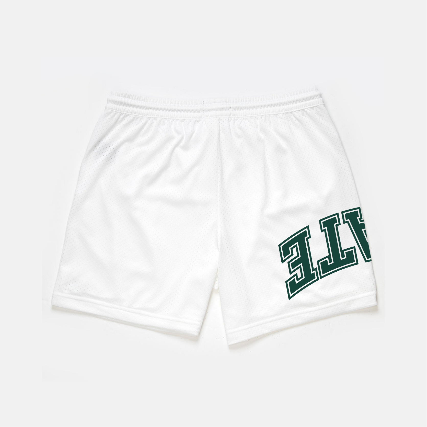 Michigan State Mesh Shorts | Limited Edition